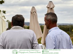 Festival Mar de Tethys 2026 - Bodega Vetas